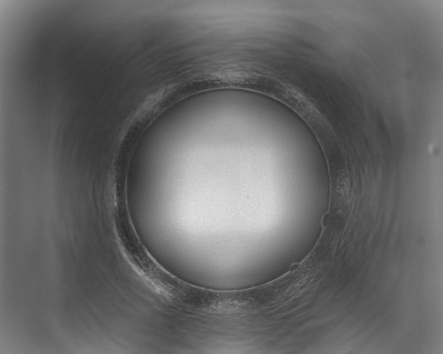 X0000072950734200608041307