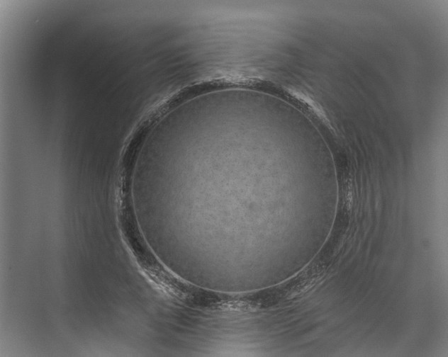 X0000072950736200608041307