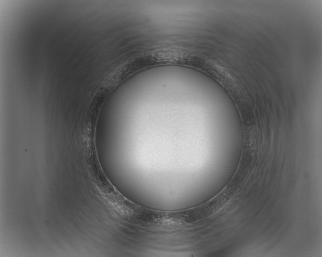 X0000072950737200608041307