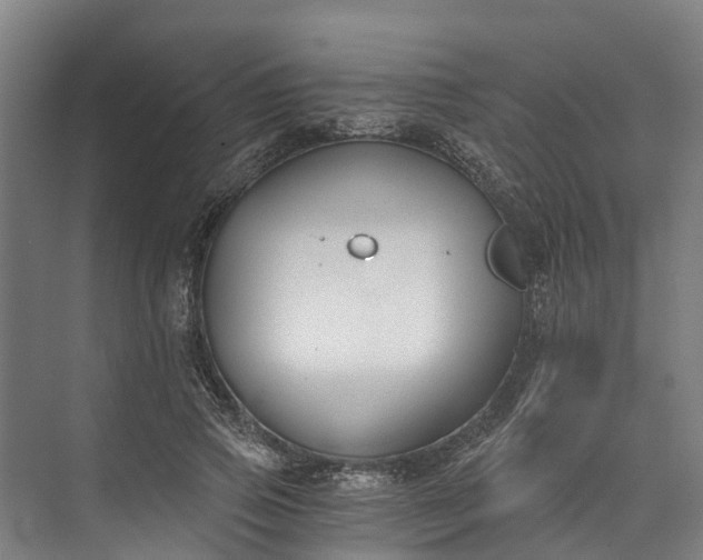 X0000072950741200608041307