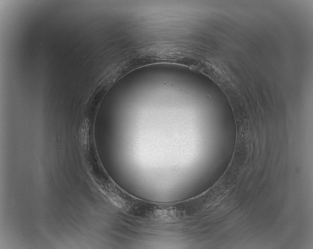 X0000072950744200608041307