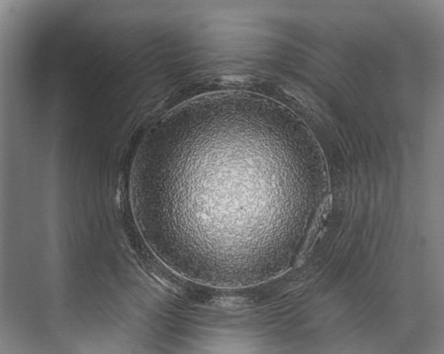 X0000072950748200608041307