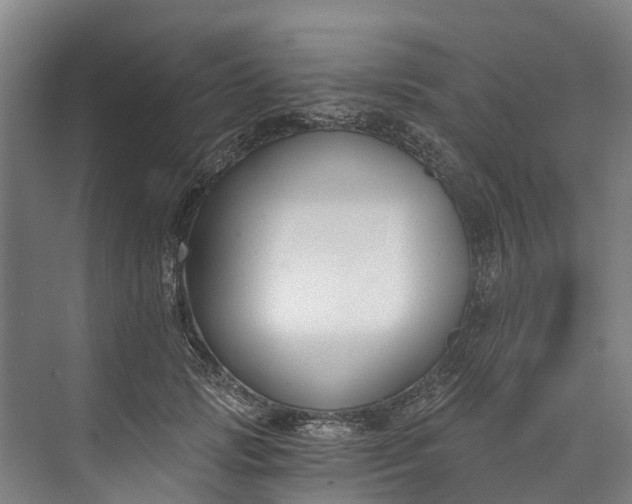 X0000072950749200608041307