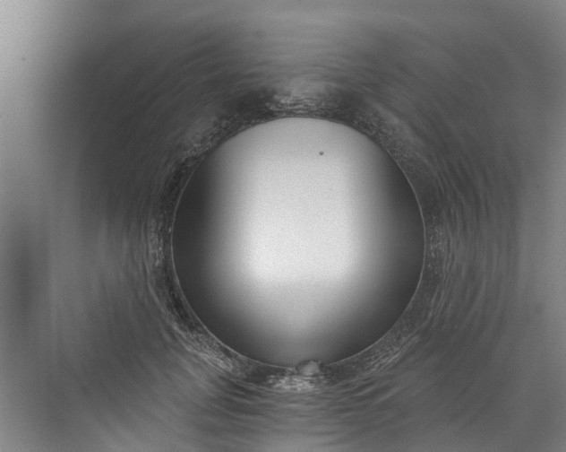 X0000072950751200608041307