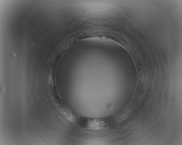 X0000072950754200608041307