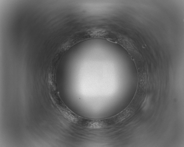 X0000072950755200608041307