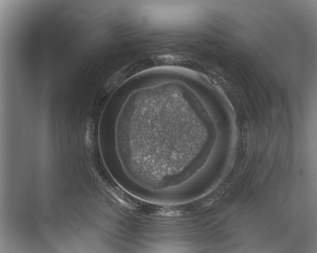 X0000072950760200608041307