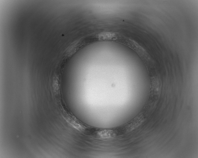 X0000072950761200608041307