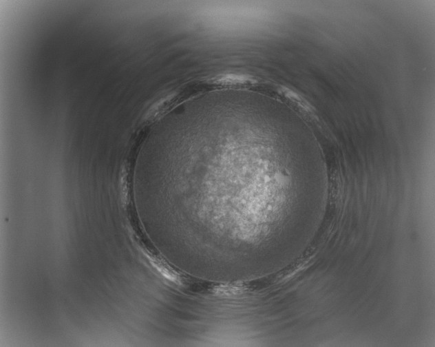 X0000072950762200608041307