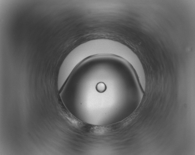 X0000072950766200608041307