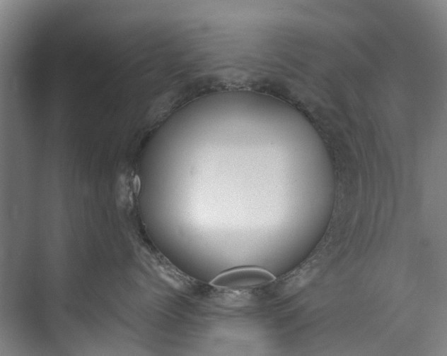 X0000072950768200608041307