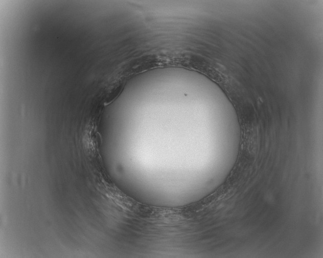 X0000072950770200608041307