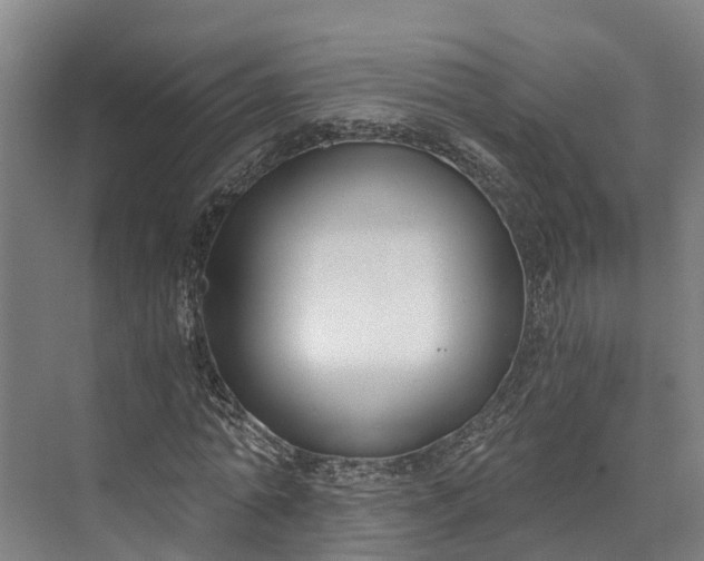 X0000072950774200608041307