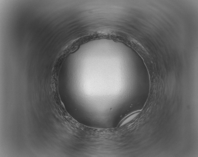 X0000072950776200608041307