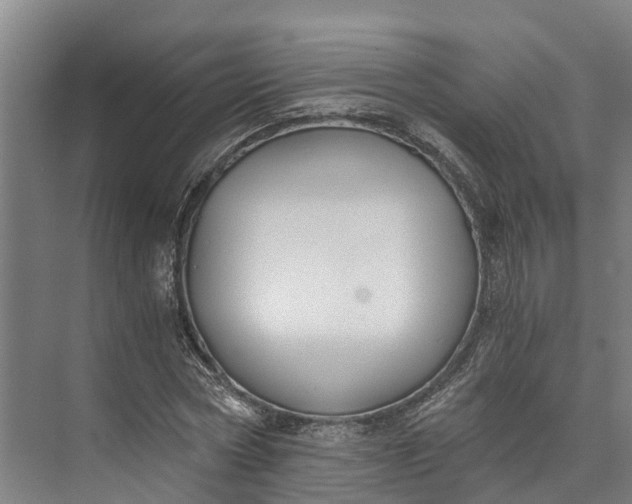 X0000072950778200608041306