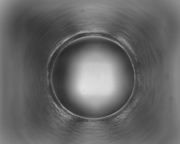 X0000072950781200608041306