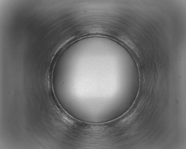 X0000072950782200608041306