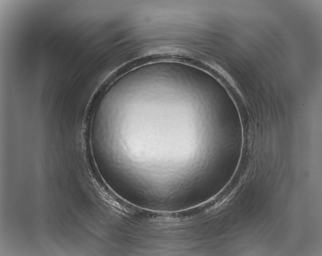 X0000072950783200608041306