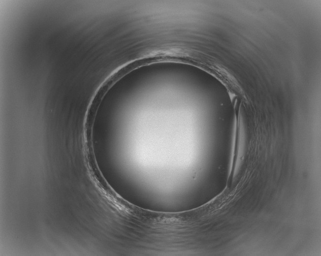 X0000072950784200608041306