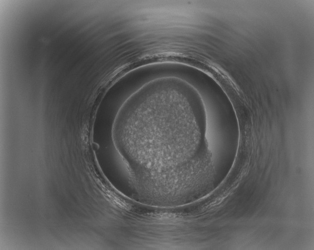 X0000072950785200608041306