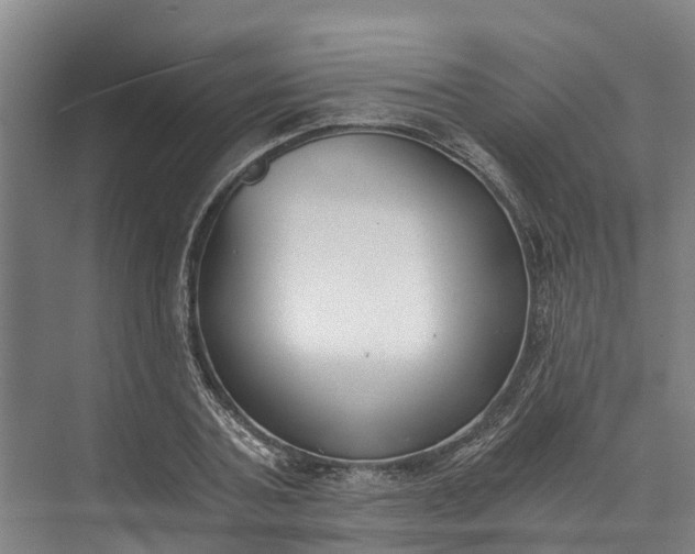 X0000072950787200608041306