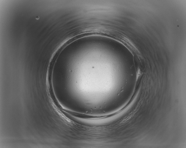 X0000072950788200608041306