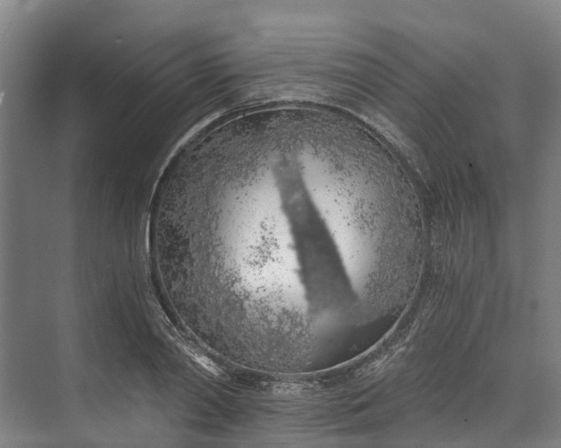 X0000072950790200608041306