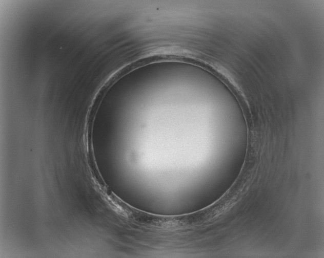 X0000072950791200608041306