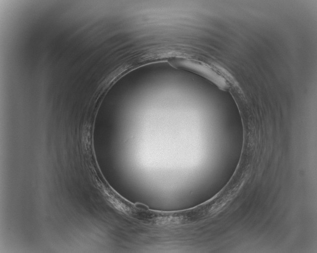 X0000072950793200608041306