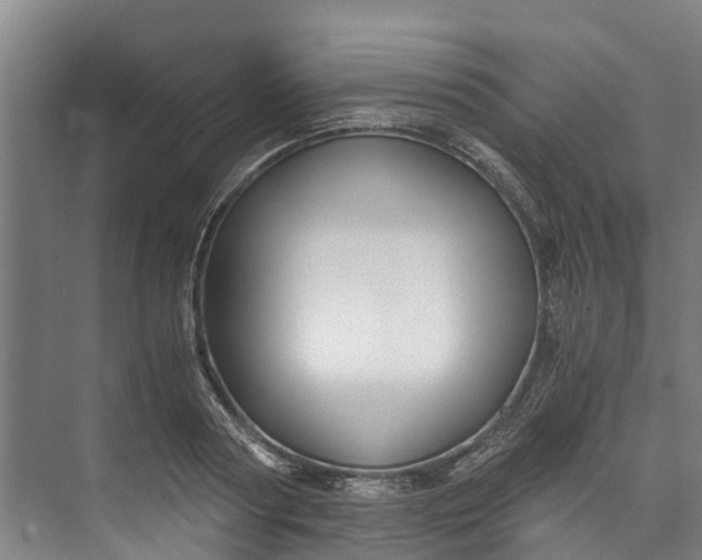 X0000072950794200608041306