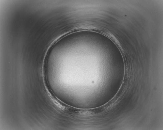 X0000072950795200608041306