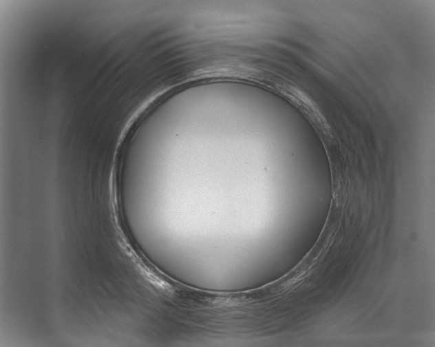 X0000072950796200608041306