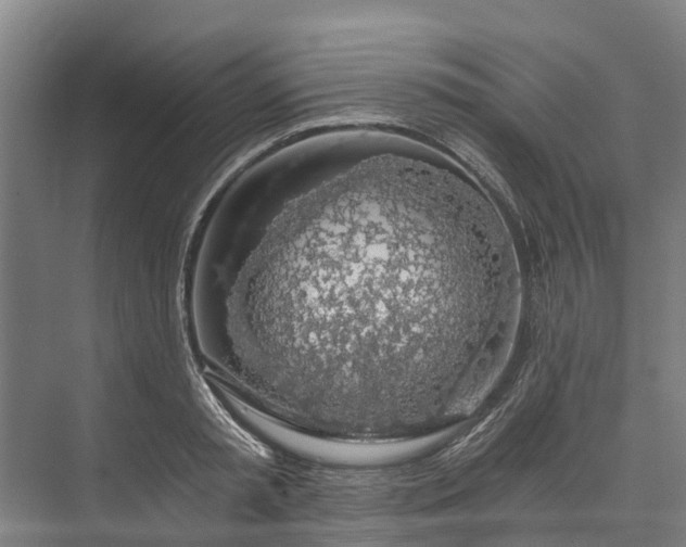 X0000072950797200608041306