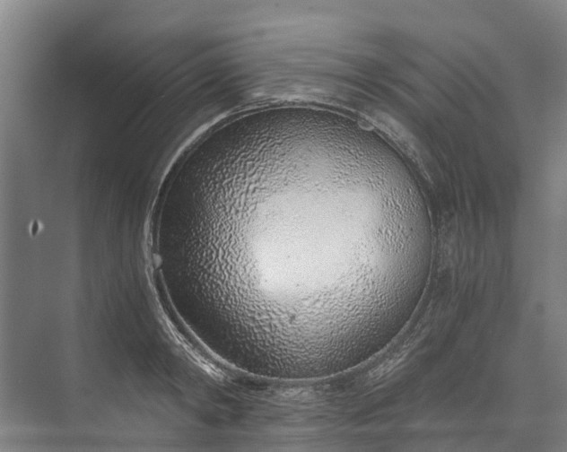 X0000072950798200608041306