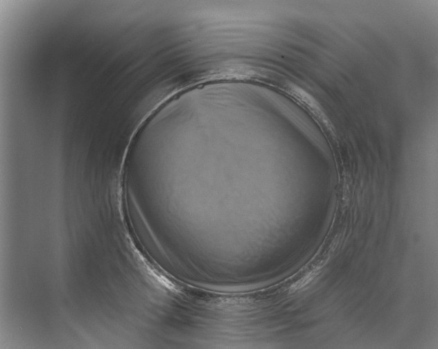 X0000072950802200608041306