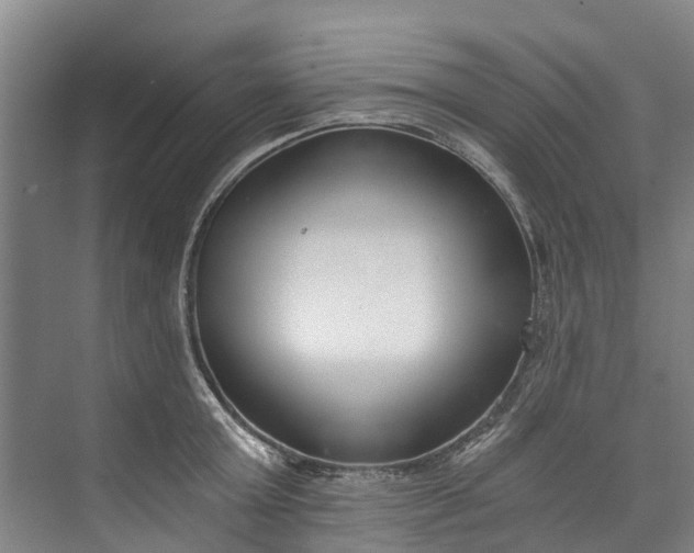 X0000072950803200608041306