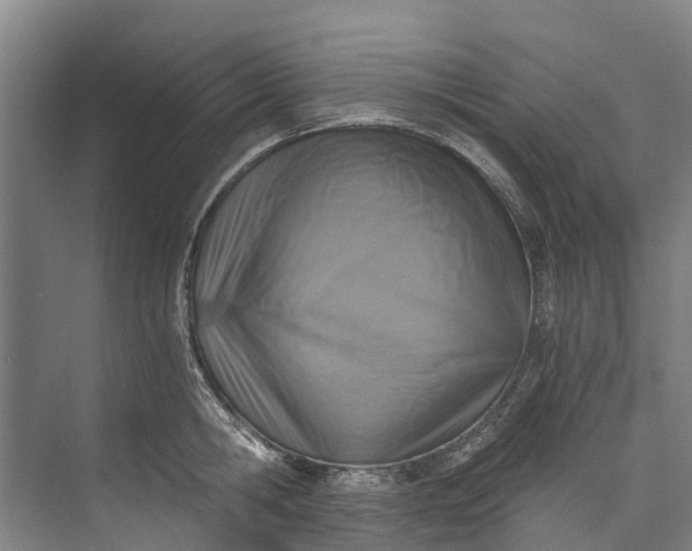 X0000072950806200608041306