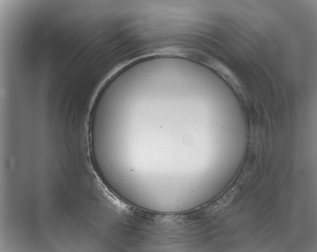 X0000072950808200608041306