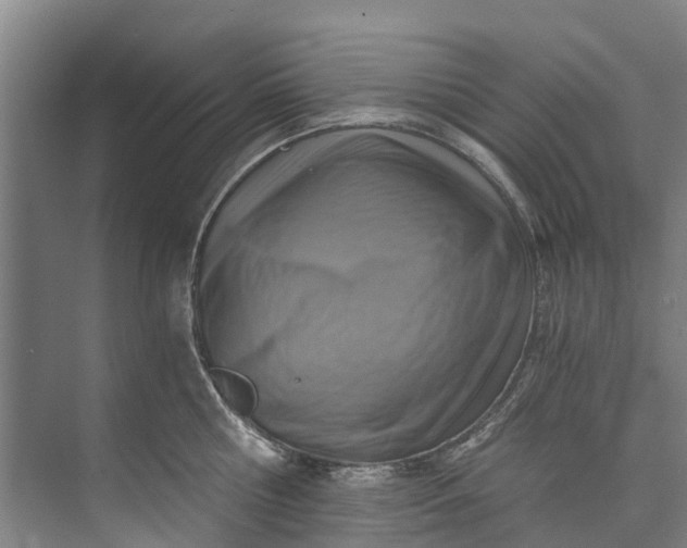 X0000072950810200608041306