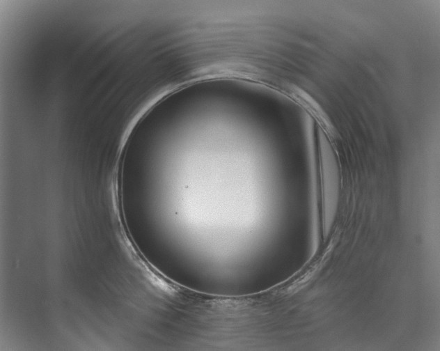 X0000072950812200608041306