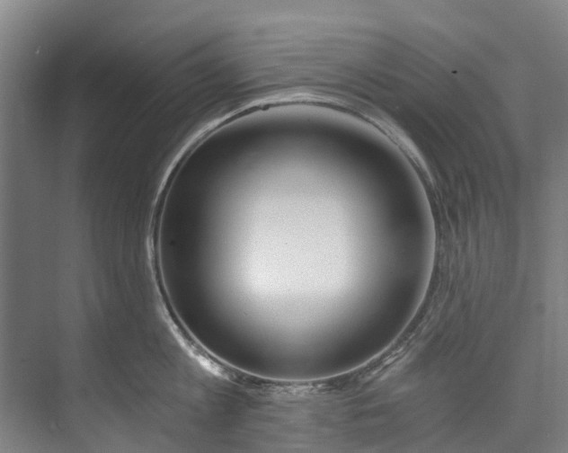 X0000072950813200608041306