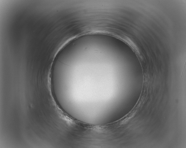 X0000072950814200608041306