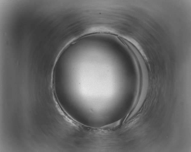 X0000072950815200608041306