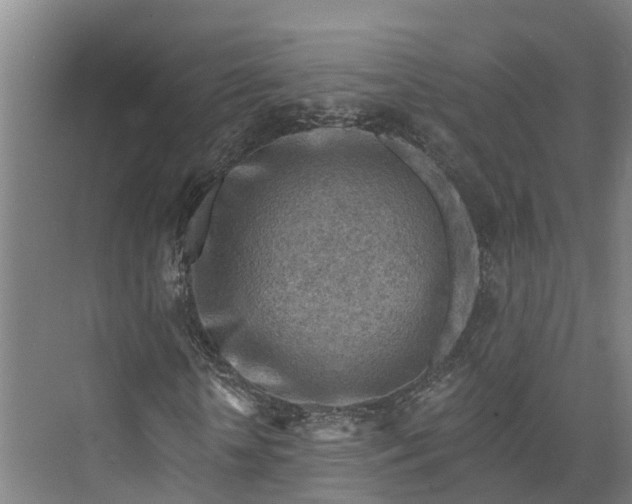 X0000072950818200608041305