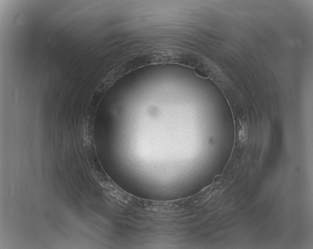 X0000072950819200608041305