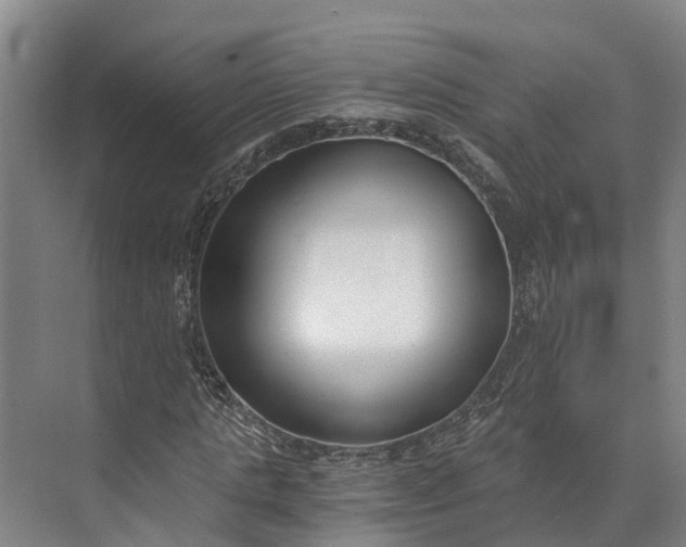 X0000072950821200608041305