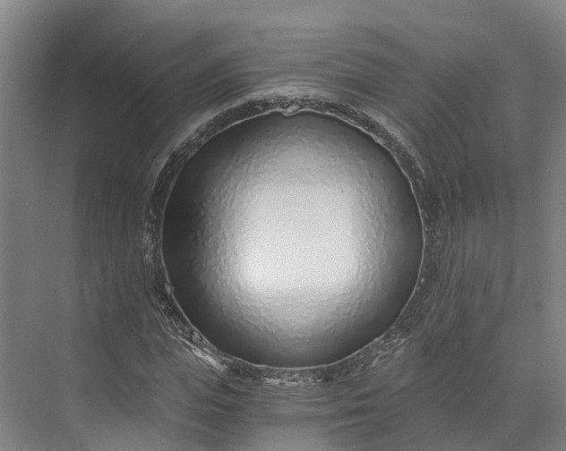 X0000072950823200608041305