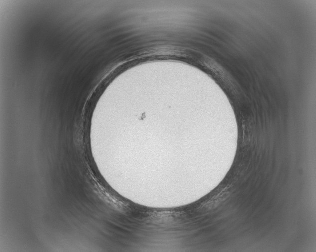 X0000072950828200608041305