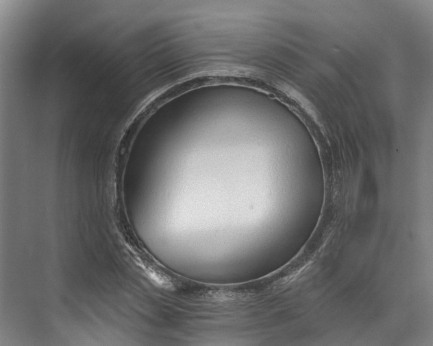 X0000072950829200608041305