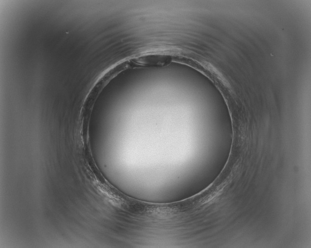 X0000072950830200608041305